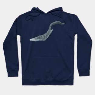 Dallasaurus turneri Hoodie